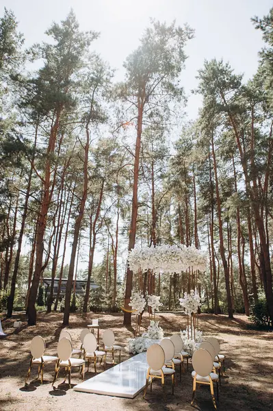 Bir çam ormanında gösterişli bir düğün, beyaz ayaklı zarif beyaz sandalyeler, beyaz çiçeklerle süslenmiş uzun bir kemer ve el değmemiş beyaz bir koridor.