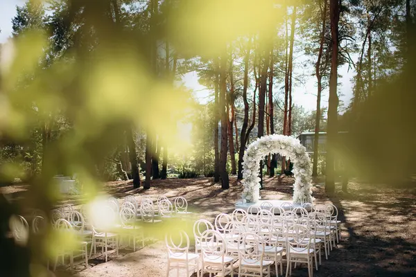 Beyaz narin sandalyeleri ve yumuşak çigila kemeri olan bir çam ormanında güzel bir düğün sahnesi. Doğal ortam huzurlu ve romantik bir atmosfer yaratır.