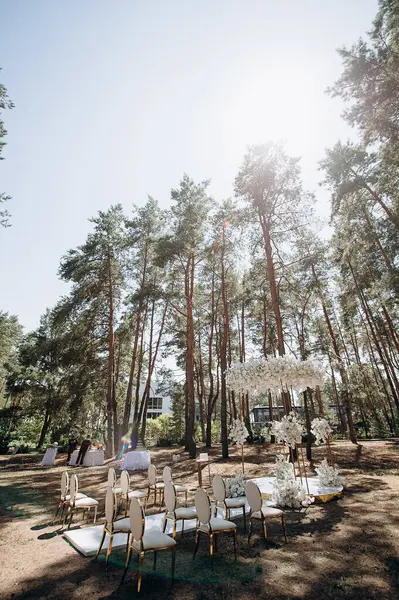 Bir çam ormanında gösterişli bir düğün, beyaz ayaklı zarif beyaz sandalyeler, beyaz çiçeklerle süslenmiş uzun bir kemer ve el değmemiş beyaz bir koridor.