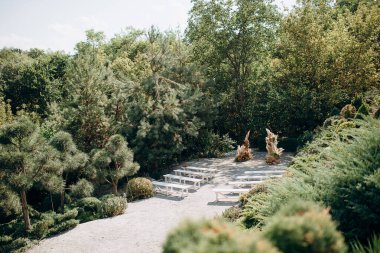 Bahçede büyüleyici bir çayır pampa otundan yapılmış büyük bir kemer ve zarif bir tören için beyaz bankların eşlik ettiği yumuşak sonbahar çiçekleri.