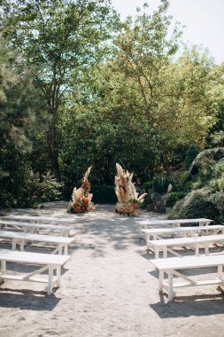 Bahçede büyüleyici bir çayır pampa otundan yapılmış büyük bir kemer ve zarif bir tören için beyaz bankların eşlik ettiği yumuşak sonbahar çiçekleri.