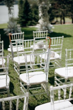 Beyaz yastıklı ve beyaz şemsiyeli sıra sıra berrak sandalyeler açık hava etkinliğinde yeşil bir çimenlikte duruyor.