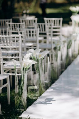 Beyaz nilüferler cam vazolarda beyaz Tiffany sandalyelerin arasında açık havada bir düğün ortamında yeşil bir çimenlikte beyaz bir koridor oluşturuyorlar.