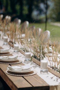 Buğday çimi aranjmanlı açık hava şenlik masası. Doğal dekor, sıcak atmosfer.