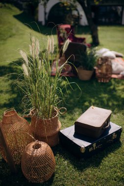 Pampa otları ve rattan fenerlerle bohem piknik düzeneği. Doğal, açık hava atmosferi