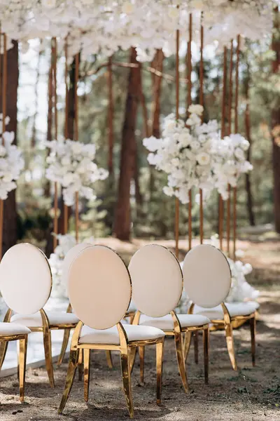 Altın çerçeveli ve bej yastıklı zarif sandalyeler açık havada uzun ağaçların arasında kumlu bir zeminde duruyorlar.