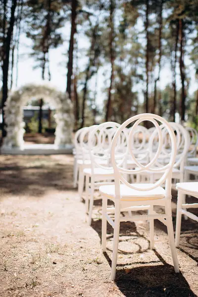 Sırtında yuvarlak sırtı olan beyaz modern sandalyeler açık havada uzun ağaçların arasında kumlu bir zemin üzerinde duruyor.