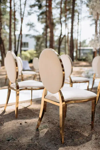Altın çerçeveli ve bej yastıklı zarif sandalyeler açık havada uzun ağaçların arasında kumlu bir zeminde duruyorlar.