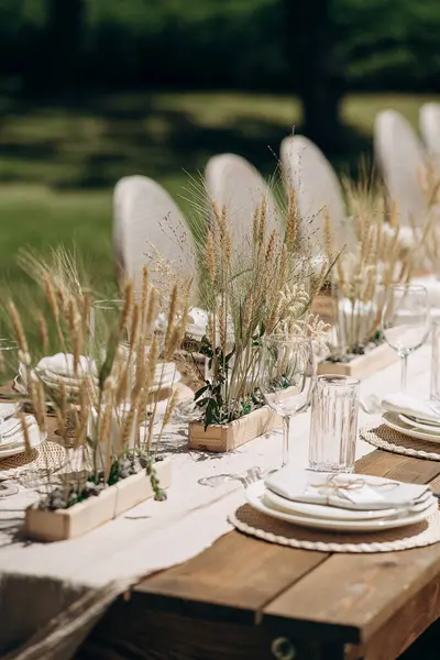 Buğday çimi aranjmanlı açık hava şenlik masası. Doğal dekor, sıcak atmosfer.