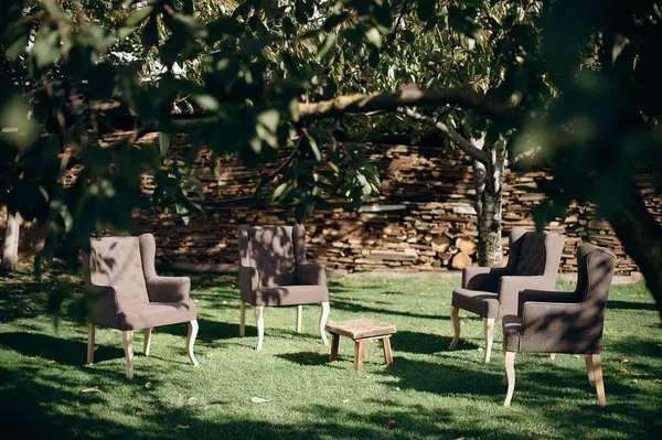 Ağaçların altında kahverengi koltukları olan şık bir açık hava salonu.