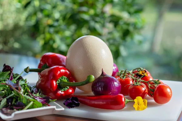 Страусиное Яйцо Сельскохозяйственные Органические Овощи Помидоры Паприка Лук Чили Салат — стоковое фото