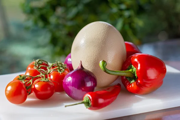 Struisvogelei Biologische Landbouwgroenten Tomaten Paprika Chili Ingrediënten Voor Het Maken — Stockfoto
