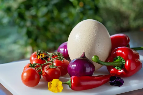 Страусиное Яйцо Сельскохозяйственные Органические Овощи Помидоры Паприка Лук Чили Ингредиенты — стоковое фото