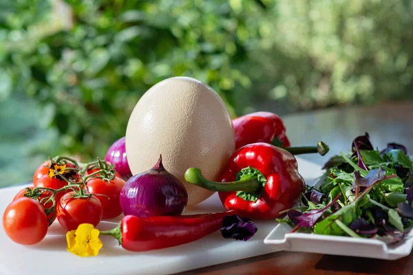 Страусиное Яйцо Сельскохозяйственные Органические Овощи Помидоры Паприка Лук Чили Салат — стоковое фото