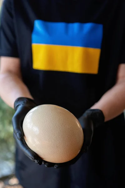 Bir Şefin Elinde Büyük Bir Devekuşu Yumurtası Siyah Eldivenler Ukrayna — Stok fotoğraf