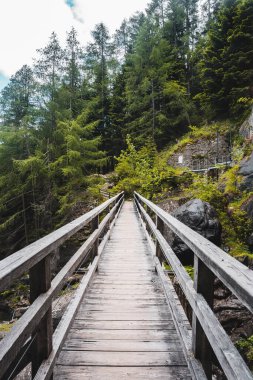Ormanın yakınındaki dağların etrafındaki tahta patika.