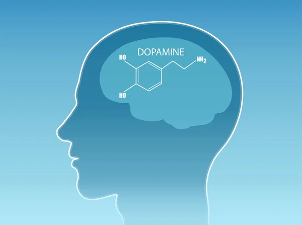 Vector Una Fórmula Química Hormona Dopamina Dentro Del Cerebro Humano — Archivo Imágenes Vectoriales