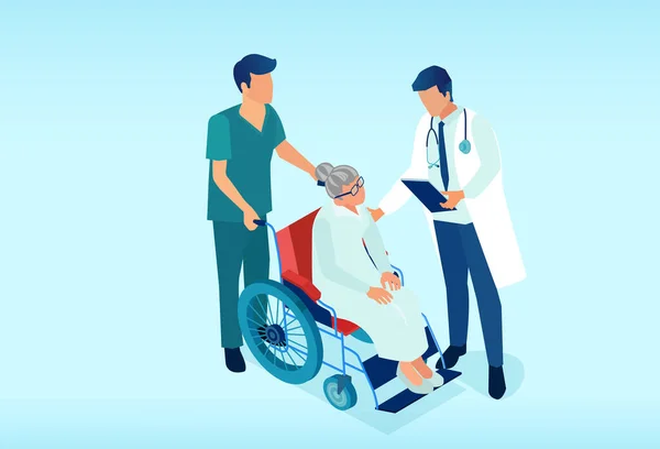 Tekerlekli Sandalyedeki Yaşlı Bir Kadın Hastayla Ilgilenen Hemşire Doktor — Stok Vektör
