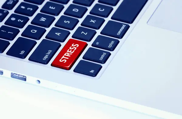 Closeup Laptop Keyboard Red Money Button — Stock Photo, Image