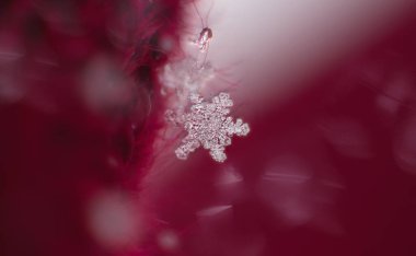 Kar taneli Noel arkaplanı