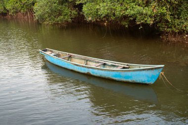 a lone boat moored on the banks of a mangrove on the island of Divar in Goa, India.