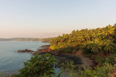 Hindistan, Goa 'da gün batımında palmiye ağaçları ve denizin olduğu güzel bir sahil manzarası.