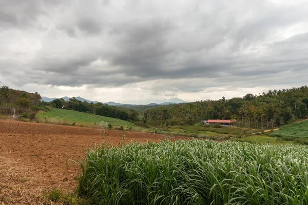 Gyönyörű Kilátás Nyílik Mezőgazdasági Földterület Egy Felhős Napon Wayanad Kerala — Stock Fotó
