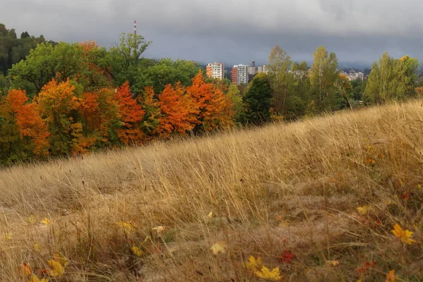 Sonbahar Manzarası Arka Planda Bir Şehir Uzun Bir Baca — Stok fotoğraf