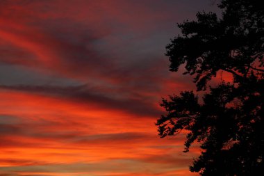 Bulutlarda turuncu gün batımı