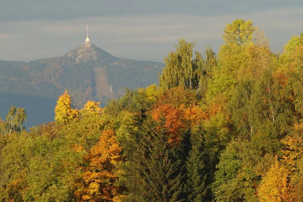 Vrchol Jizerských Hor Jetd Podzimní Stromy Popředí — Stock fotografie