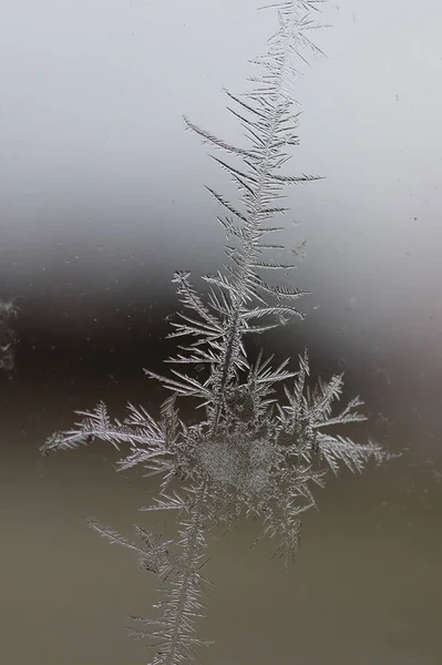 Мороз Вікні Зима Наближається — стокове фото