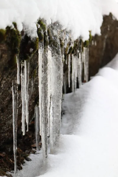 Frozen Icicles Rock Snow — Stock fotografie