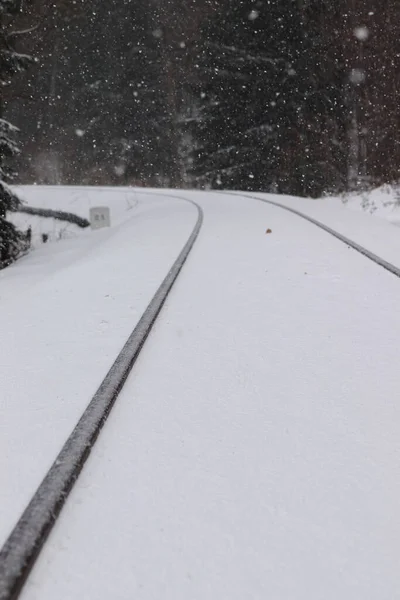 Karlı ormanda tren rayları