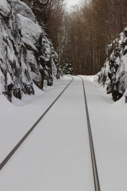 Karlı ormanda tren rayları