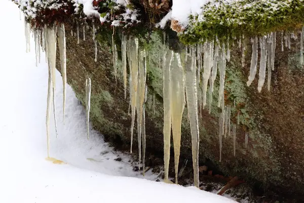 Bir Kayanın Üzerindeki Sarı Sarkıtlar Kış Manzarası — Stok fotoğraf