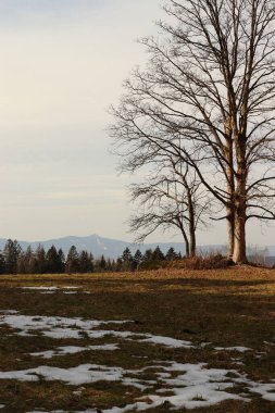 Ağaçlar ve karla kaplı manzara, arka planda Jetd dağı