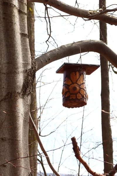 Birdhouse Wiszące Drzewie — Zdjęcie stockowe
