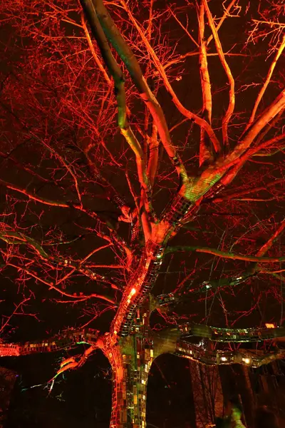 五彩斑斓的树 夜晚五彩斑斓的城市 — 图库照片