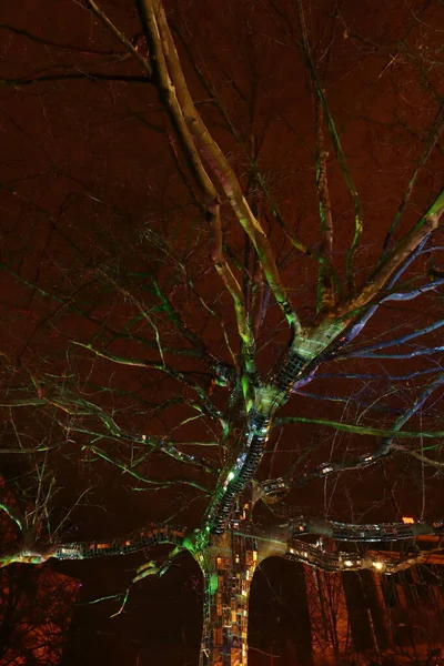 Árvore Iluminada Colorida Cidade Colorida Noite Mostra Clara — Fotografia de Stock
