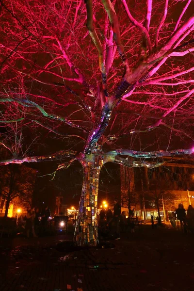 Árvore Iluminada Colorida Cidade Colorida Noite Mostra Clara — Fotografia de Stock