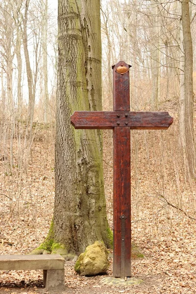 Ένας Μεγάλος Ξύλινος Σταυρός Στο Δάσος — Φωτογραφία Αρχείου