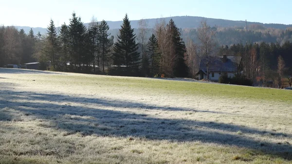 晨霜覆盖在草地上的树的影子 — 图库照片