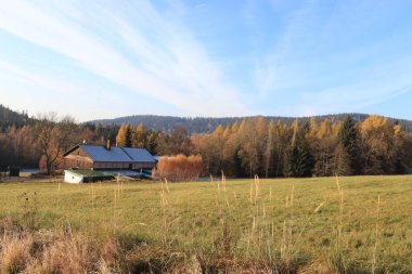 Sonbahar dağlarda, uzun otlar ön planda, mavi gökyüzü