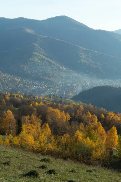 秋の黄色の森と高い山の景色 美しい山々 フィールドや森林と風景 垂直表示 — ストック写真
