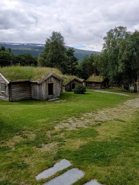 Norveç 'te yeşil çatıları olan eski ahşap kulübeler. Doğayla çevrili tipik İskandinav kırsal mimarisi.