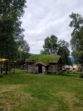Kırsal bir dağ bölgesinde çimenle kaplı çatıları olan geleneksel Norveç evleri.