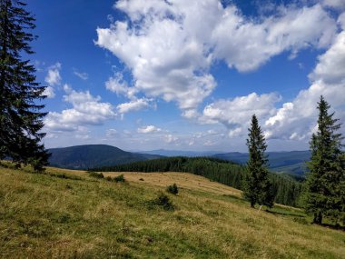 Karpatlar 'da yeşil alp çayırı olan güzel bir dağ manzarası. Barışçıl ve geniş doğa manzarası. Açık mavi gökyüzü
