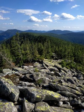 Açık bir gökyüzünün altındaki uzak bir dağ zirvesini işaret ediyor. Yönün, hedefin veya maceranın sembolü.
