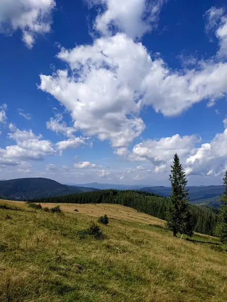 Karpatlar 'a ait bir dağ çayırı ve çevresindeki tepelerin manzarası. Huzurlu ve geniş doğa manzarası.