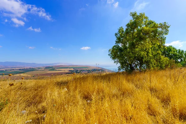 田園地帯とガリラヤ湖とアーベル渓谷の眺め 北イスラエル — ストック写真
